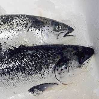 新發(fā)地三文魚(yú)案板檢測(cè)出新冠病毒，，北京多家超市連夜下架三文魚(yú)，北京新增三個(gè)病例